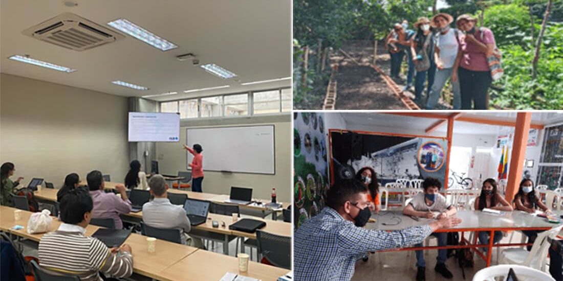 Banco De Proyectos De Innovación Transformativa En El Valle Del Cauca