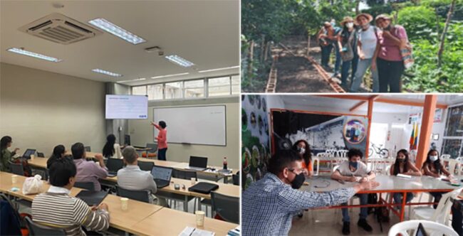 Banco De Proyectos De Innovación Transformativa En El Valle Del Cauca