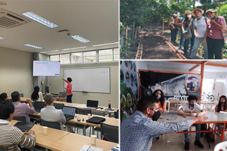 Banco De Proyectos De Innovación Transformativa En El Valle Del Cauca