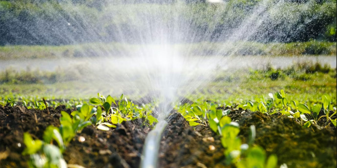 ¿Cómo Transformar La Relación Entre El Agua Y Los Sistemas Agroalimentarios?