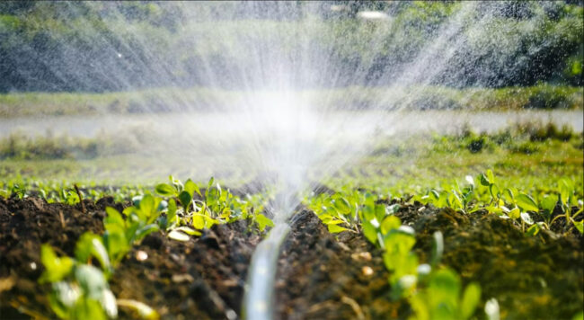 ¿Cómo Transformar La Relación Entre El Agua Y Los Sistemas Agroalimentarios?