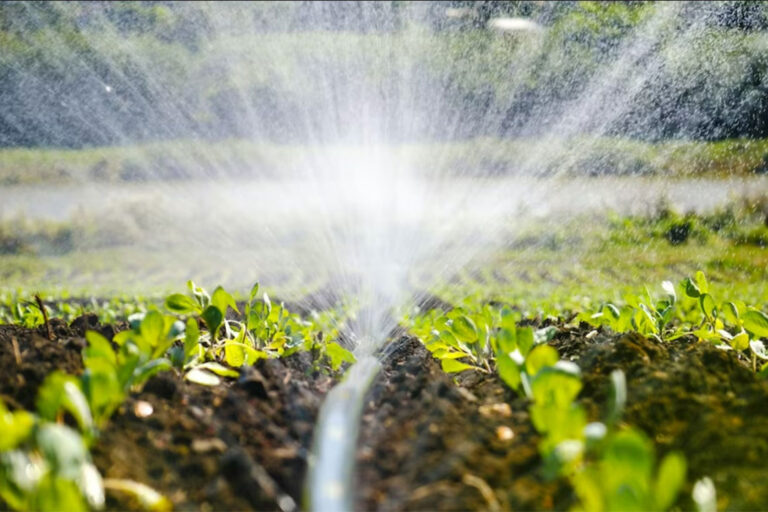 ¿Cómo Transformar La Relación Entre El Agua Y Los Sistemas Agroalimentarios?