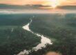 Explorando las “rutas” de transición del bosque en la Amazonía peruana hacia una teoría del cambio