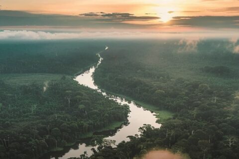 Explorando las “rutas” de transición del bosque en la Amazonía peruana hacia una teoría del cambio