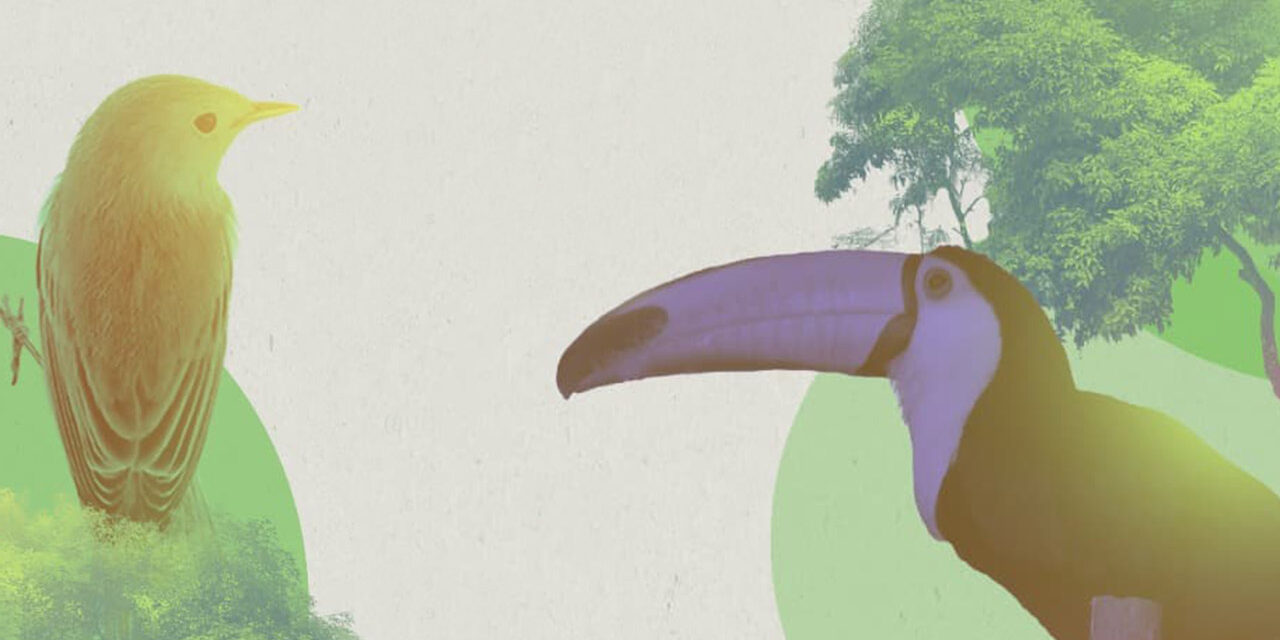 En el marco de la COP 16 Colombia, el HUB El poder del cambio transformativo