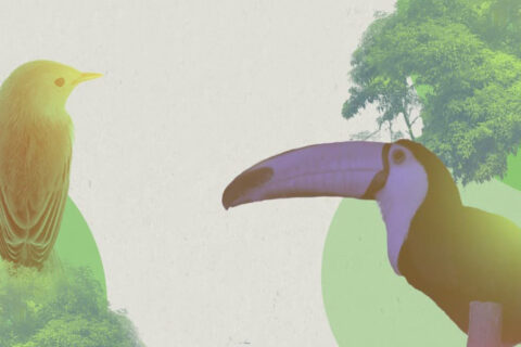En el marco de la COP 16 Colombia, el HUB El poder del cambio transformativo