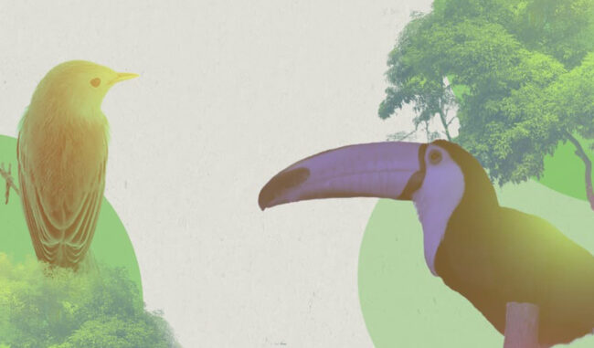 En el marco de la COP 16 Colombia, el HUB El poder del cambio transformativo
