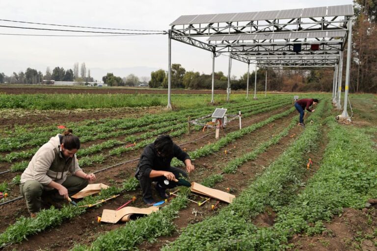 Fundación Fraunhofer Chile Research FCR