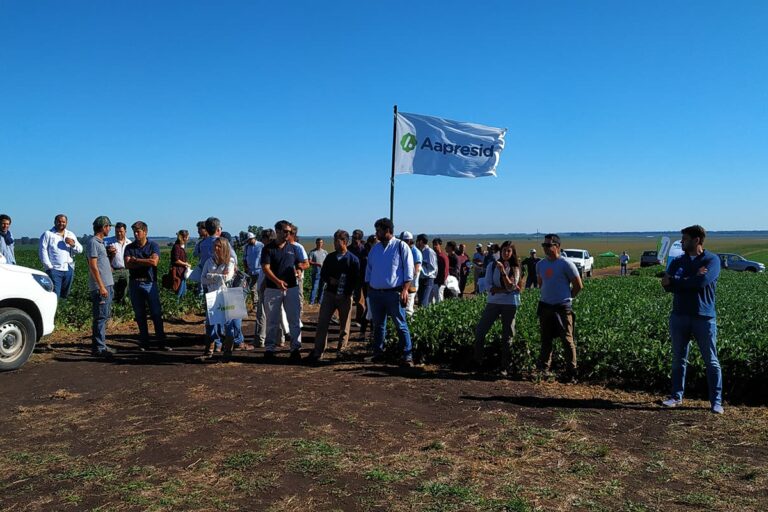 Asociación Argentina de Productores en Siembra Directa – Aapresid