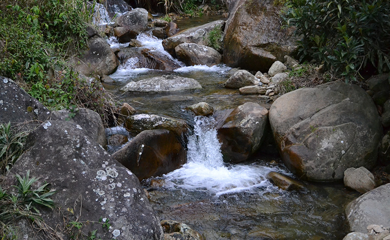 huella hídrica