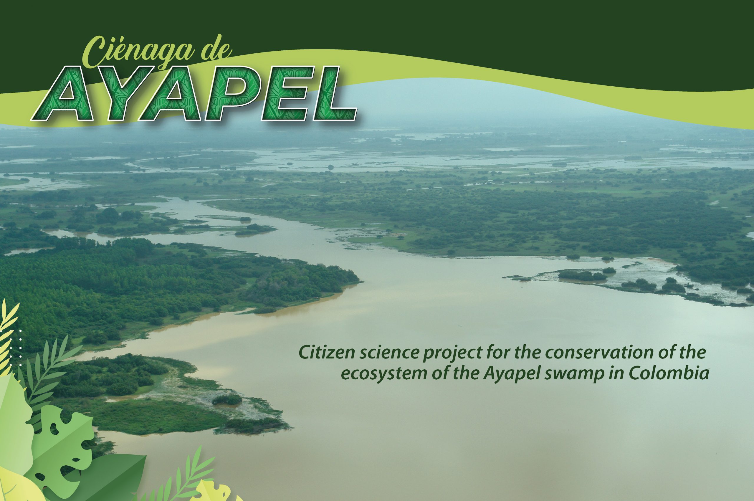 Ciénaga de Ayapel