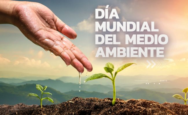 Día del medio ambiente 2022