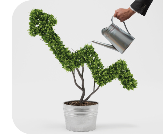 Crecimiento verde y desarrollo sostenible