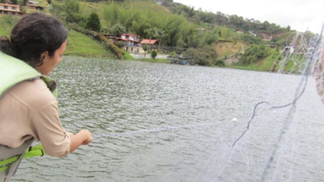 Webinar partículas antropogénicas